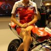 IMG_6614eicma_2013